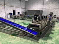 Ligne de production industrielle de chips de pommes de terre entièrement automatique Machine de fabrication de chips de pommes de terre surgelées