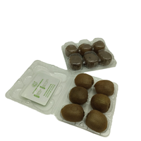 Nouveau produit boîte d'emballage de kiwis en plastique avec 6 trous séparateurs à clapet blister PET emballage à motif Rectangle Transparent