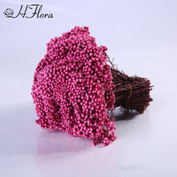 Hflora Vente Chaude Fleurs Décoratives Multicolores Fleurs de Riz Conservées Longue Durée Écologiques Toucher Réel pour Mariage Noël