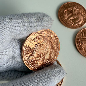 ميدالية نحاسية مستديرة عالية الوضوح بوزن 1 أونصة، تصميم حيوانات برية، نقية 999، تضم الفيل والدب القطبي والدولفين، بيع مباشر من المصنع بالجملة - Product Image 4