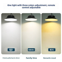 Ampoule de luxe solaire rechargeable à haute luminosité 200W avec télécommande pour salon, éclairage de plafond à énergie solaire pour intérieur
