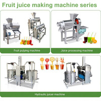 Industriële tomatenpureemachine met fijne pulpverfijning voor de productie van saus, ketchup en pasta.