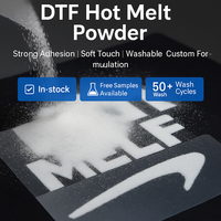 Winner Higer Quality DTF Hot Melt White Powder TPU Adhesive for DTF T-Shirt Heat Transfer Printing