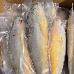 Bán Buôn Đông Lạnh Vàng Croaker Cá Xuất Khẩu Cấp Đông Lạnh Sản Phẩm Hải Sản Tươi Và Hương vị Cá Cho Toàn Cầu Phân Phối - Product Image 5