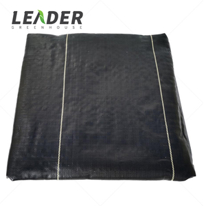 Toile de paillage non tissée traitée anti-UV, noire, blanche, bleue, pour la plantation de <span class=keywords><strong>myrtilles</strong></span> et la couverture du sol - Product Image 3