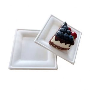 Assiettes carrées jetables biodégradables de 10 pouces, résistantes à l'eau et à l'huile, pour la restauration et les fêtes - Product Image 2