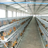Bâtiment de ferme avicole moderne en structure acier préfabriquée, conception pour 1000 poulets, poulailler à vendre
