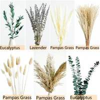 Bunga Kering Pampas Bohemian Dekoratif Rumput Ekor Kelinci Campuran dan Padu Padan Buket Bunga Kering