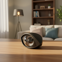 Boule Plasma Électrostatique Lumineuse en Forme d'Œil, Taille Personnalisée, Lampe Magique pour Fêtes et Cadeaux d'Intérieur – Offre Spéciale