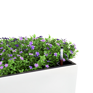 Jardinière rectangulaire moderne en plastique auto-arrosante pour sol et mur, <span class=keywords><strong>avec</strong></span> indicateur de niveau d'<span class=keywords><strong>eau</strong></span> - Product Image 6