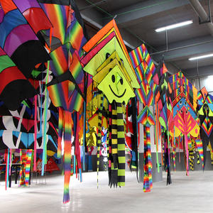 المصنع مباشرة الأطفال شاطئ اللعب في الهواء الطلق شمال يفانغ أنيما مخصص الطائرات الورقية - Product Image 6