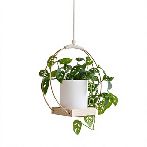 2 Pack Durable Powder Coated Metal Hanging Planter Shelf -Simple American Indoor Home <b>Plant</b> Hanger Window Ceiling <b>Wall</b> Black Iro - Product Image 4