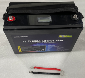 Batería de Fosfato de Hierro y Litio Delong Grad A de 12 V y 100 Ah CON 5 AÑOS de Garantía, Modelo DL-12100 - Product Image 5