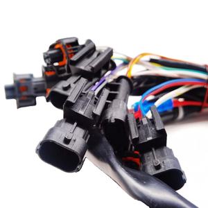 מפעל מותאם אישית רכב משאבת דלק מזרק מחבר חיווט רתום מנוע מזרק חיווט רתום - Product Image 3