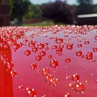 Recubrimiento Cerámico de Grafeno 3.0 de Alto Brillo, Hidrofóbico, 10H, Fácil de Usar, Antiarañazos, Nano Recubrimiento Cerámico para Productos de Cuidado del Automóvil