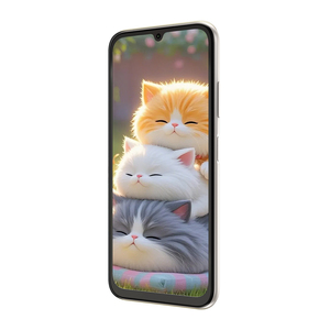 Teléfono Inteligente Fossibot S7 PRO, Pantalla de 6.9 Pulgadas, 120 Hz, 8+256 GB, 5000 mAh, Carga de 10 W, Cámara Principal de 16 MP, Cámara Frontal de 8 MP, Desbloqueo Facial, Android 16 - Product Image 5