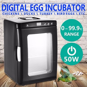 Incubatrice per Uova Mini Automatica con Controllo della Temperatura e Rotazione Manuale a Prezzo all'Ingrosso - Product Image 5