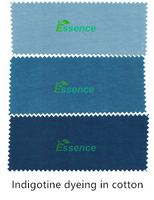Teinture naturelle pour textiles Teinture pour plantes Extrait d'indigo bleu Poudre d'indigo pour tissu Teinture