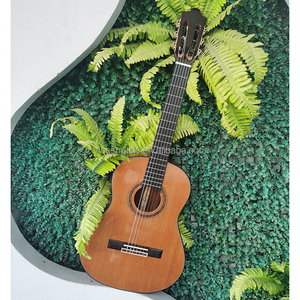 Guitarra portátil 3/4, Guitarra clásica profesional, 36, parte superior sólida, venta de fábrica - Product Image 5