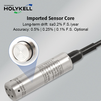 Capteur de niveau de liquide hydrostatique submersible en acier inoxydable Holykell 4-20mA IP68 pour réservoirs d'eau