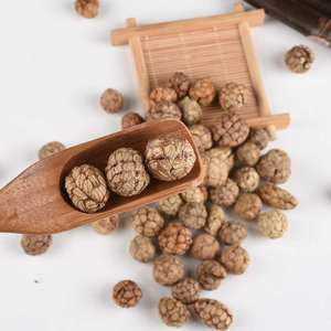 Cao Cấp Hữu Cơ Galangal Hạt Giống Duy Nhất Cao Cấp Gia Vị Thảo Mộc Cho Nấu Ăn Gia Vị Và Thảo Dược Sản Phẩm Bán Buôn Xuất Khẩu - Product Image 5