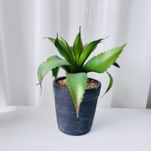 Maceta de Plástico con Imitación Realista de Aloe <span class=keywords><strong>Vera</strong></span>, Planta <span class=keywords><strong>en</strong></span> Maceta para el Día de San Valentín, Decoración de Mesa para el Hogar, Arreglo de Vegetación Verde - Product Image 3