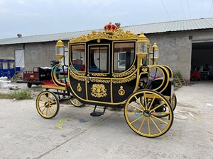 Carruaje Real Eléctrico de Acero de Alta Calidad con Neumáticos de Goma Sólida para Bodas y Exposiciones - Product Image 3