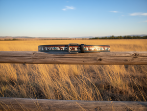 Cintura Western con Stampa Cowboy 4,2cm 120cm in Vera Pelle Casual con Motivo Animale Stampa a Trasferimento Termico - Product Image 2