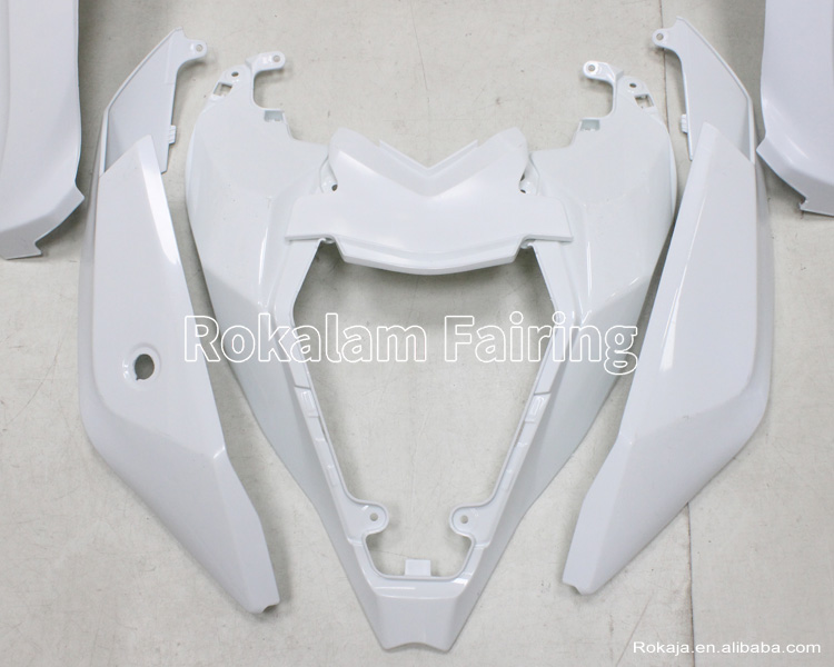 Kawasaki ZX-10R 2021-2023 Aftermarket Kit Parts - ROKALAM