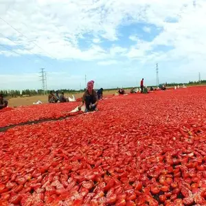 Новый урожай сушеных на солнце овощей томаты Замороженные сушеные продукты сушеные томаты без сахара добавлены