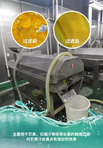 Équipement de filtration multifonctionnel pour pulpe de fruits, équipement de production et de filtration pour jus et purée aux viscosités variées - Product Image 6
