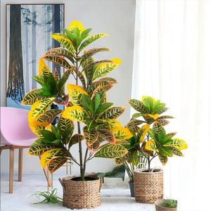 โรงงานนี้ให้ความรู้สึกหรูหราอย่างยิ่งและมีเครื่องปรับอากาศขนาดใหญ่ภายในอาคาร พร้อมจำหน่ายต้นไม้ประดิษฐ์ โคเดียตัม วาเรียกัตัม - Product Image 3