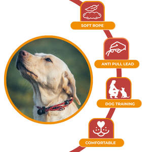 Tali anjing kepang Inggris 33 inci dengan tombol geser tekan Stopper untuk papan piring hak dan latihan kontrol - Product Image 3