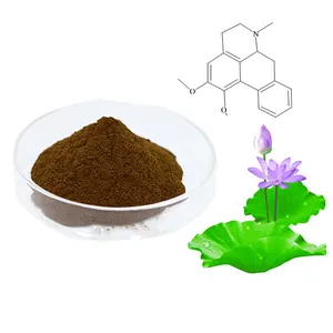 Julyherb 100% puro naturale estratto di foglia di loto in polvere 1% ~ 10% nuciferina organico nuciferina per la perdita di peso