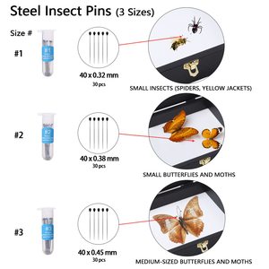 Panneau de mousse <span class=keywords><strong>d</strong></span>'encastrement en verre, transparent, en bois de pin, <span class=keywords><strong>boite</strong></span> de présentation <span class=keywords><strong>d</strong></span>'insecte, pour échantillons en verre, 1 pièce - Product Image 5