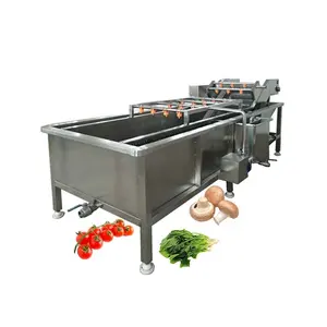 Lavadora Industrial de burbujas de frutas y verduras de alta calidad, lavadora automática de verduras de hoja fresca de acero inoxidable