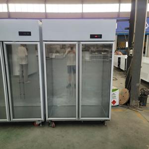 HOT SALE Edelstahl Commercial Upright 2 Glastür Gefrier schrank Aluminium tür Heavy Duty Support Rollen A Energie effizient - Product Image 3