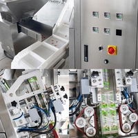 Machine d'étiquetage automatique durable et soignée à quatre côtés scellés pour aliments granulaires tels que le chocolat, les biscuits, les noix, les graines de melon, le riz