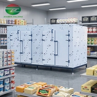 Chambre froide mobile commerciale compacte de 10/20 mètres carrés avec grand conteneur congélateur pour la conservation des aliments frais – Équipement complet