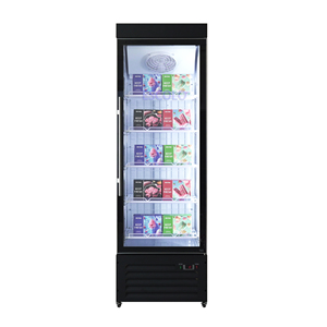 Tủ đông trưng bày thực phẩm đông lạnh nhiệt độ đơn 450L thẳng đứng với chức năng không có sương giá 5 Kệ tiết kiệm năng lượng - Product Image 1