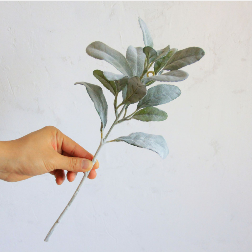 Capelli bianchi verdi