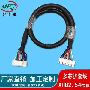 XHB2.54 Multi Core Sheathed Power Cord 300 Mm PVC Insulated Snap On Terminal Wiring Harness For Motor Equipment - Product Image 2