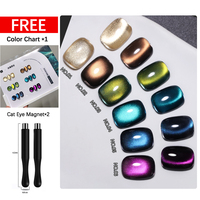 ZRKGEL nouveauté 15ml 6 couleurs gel oeil de chat ensemble échantillon gratuit petite quantité minimale de commande marque privée en gros gel magnétique pour l'automne et l'hiver