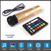 Dc12v 16w Rgbw App Control Tube Mini Light Engine avec application mobile + télécommande pour voiture