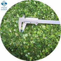 Sinocharm 냉동 쪽파 1kg (대용량)