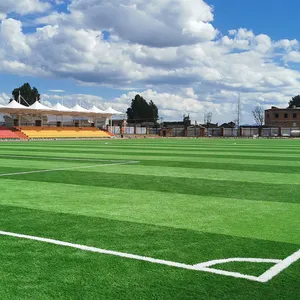 Basketbalveld Voetbal Leverancier Hoge Kwaliteit Beste Kwaliteit Basketbal Kunstgras