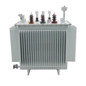 10/0,4-kV-Transformator 10-mVA-Transformator 13,8/34,5 kV 100-kVA-1000-kVA-Padmount-Transformatoren