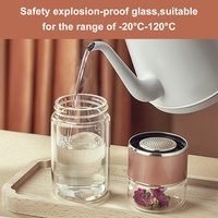 Myvit — bouteilles en verre à Double paroi 2021 ML, avec filtre de séparation, infuseur à thé, gobelet à thé, gourde de de voyage, nécessaire à boire, nouveau, 450