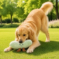 Jouet en peluche couineur en forme de concombre vert pour animaux de compagnie, vente en gros d'usine, mignon jouet à mâcher pour chiot en forme de légume pour chien