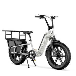 Vélo cargo électrique à gros pneus, haute puissance 750W, 48V, 15Ah, charge maximale 204kg, cadre métallique, pour les voyages en famille, les activités de plein air et les livraisons lourdes - Product Image 1